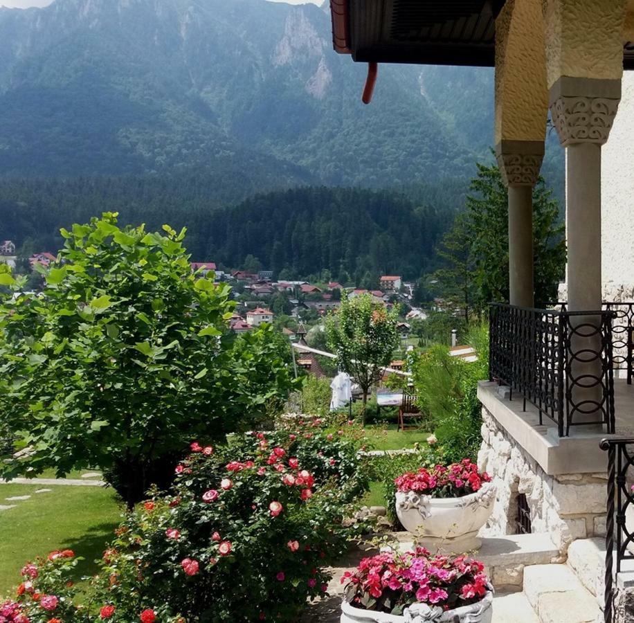 Vila Leonida - Resort Leonida Buşteni Eksteriør billede